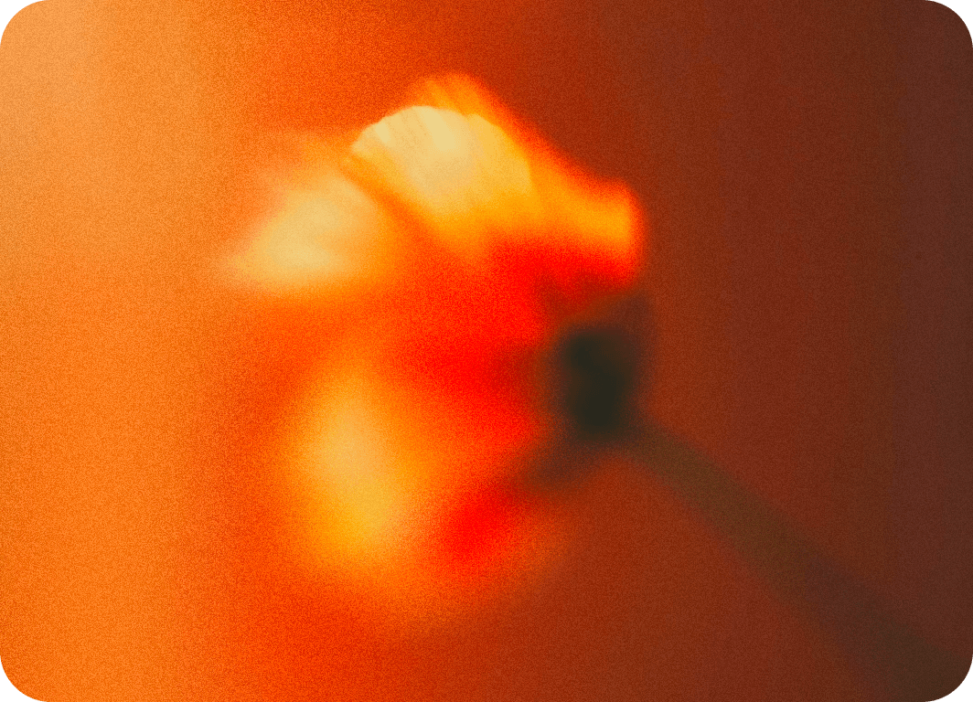 Arviro Team Showcase